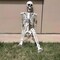 5.4Ft Large Full Body Life Size Poseable Halloween Fake Plastic Skeleton for Indoor & Outdoor Props Decorations